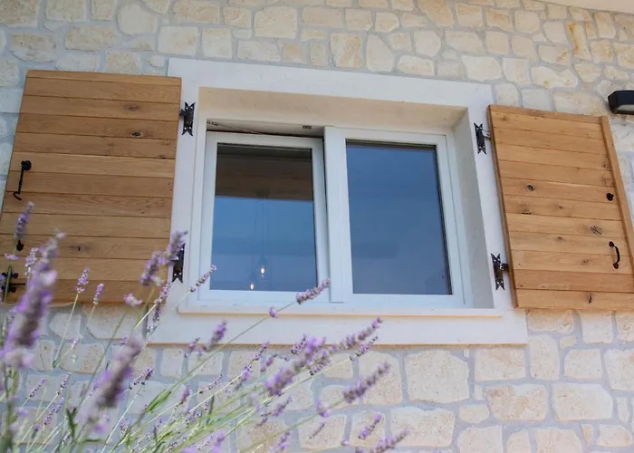 Olive Tree * 피사크