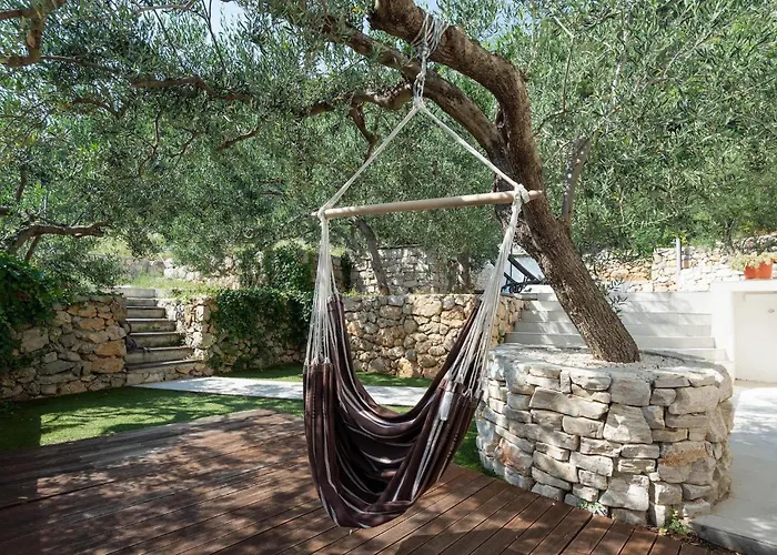 Olive Tree