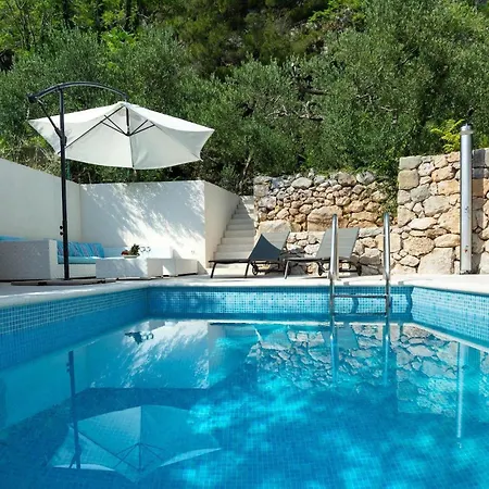 Olive Tree Holiday home Pisak