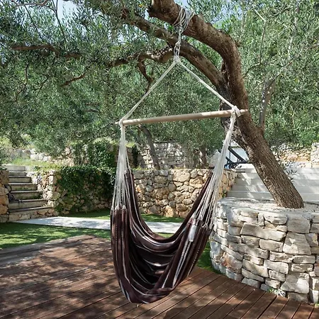 Olive Tree