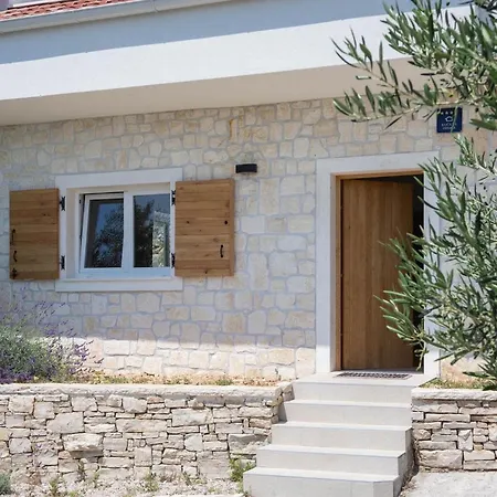Olive Tree *