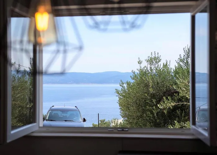 Vikendica Olive Tree *