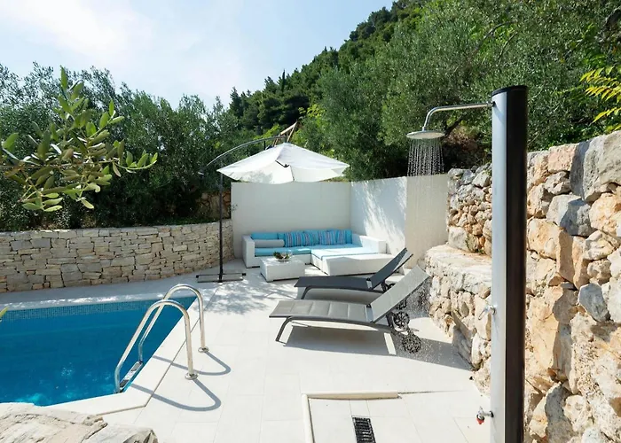 Vikendica Olive Tree *